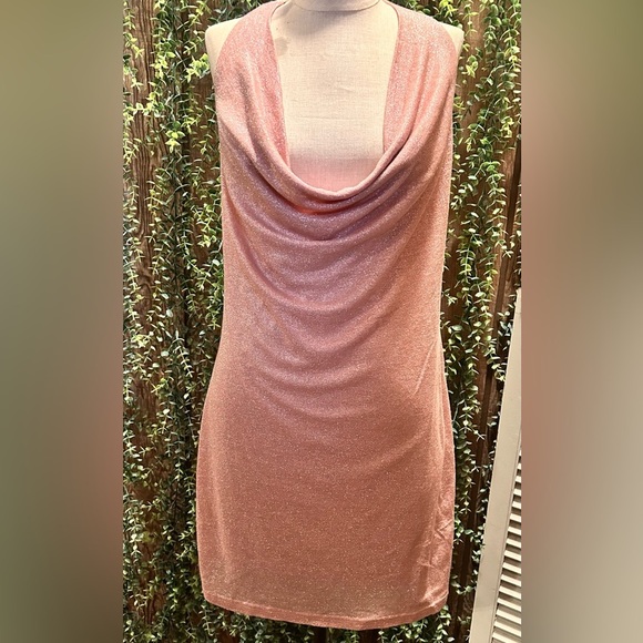 She + Sky Dresses & Skirts - NWT Elegant Pink Draped Women's Dress